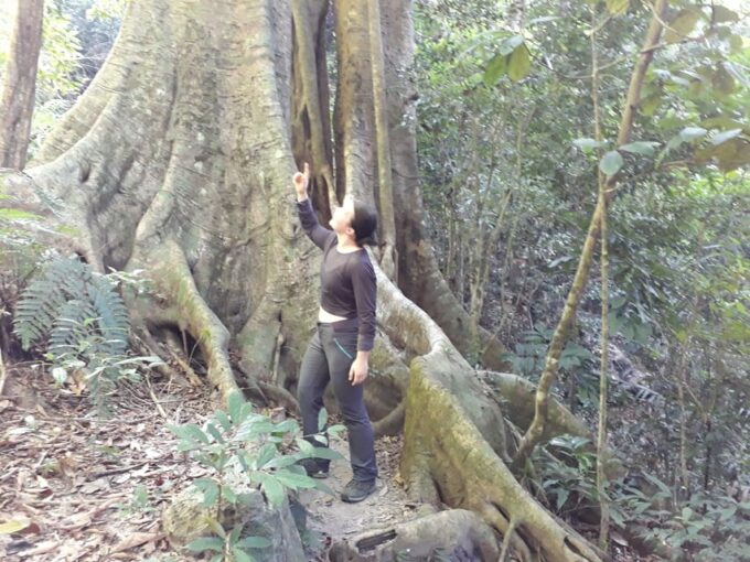 From Cat Ba Island:National Park Full Day Trekking& Kayaking - Customer Reviews