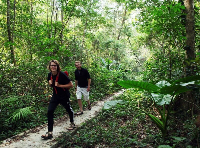 From Cat Ba Island:National Park Full Day Trekking& Kayaking - Key Points