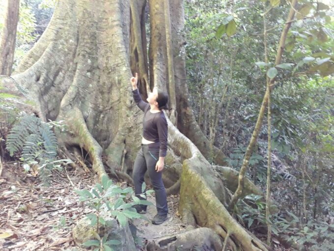 From Cat Ba Island:National Park Full Day Trekking& Kayaking - Inclusions and Logistics for the Tour