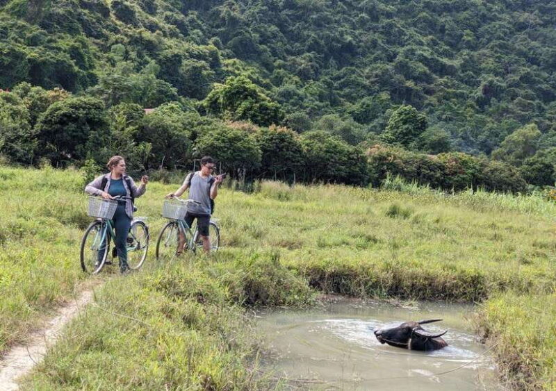 From Cat Ba: Lan Ha Bay Day Trip With Kayaking, Biking& Meal - Exploring Cai Beo Floating Village