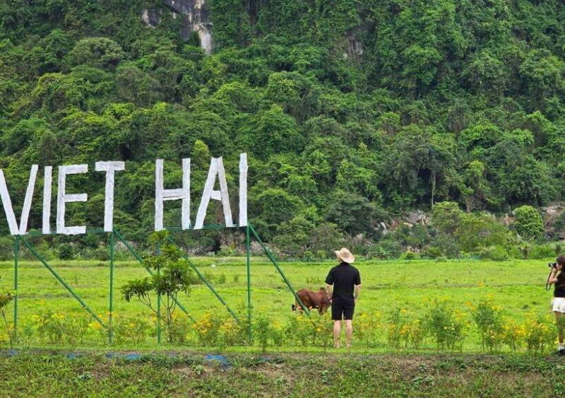 From Cat Ba: Lan Ha Bay Day Trip With Kayaking, Biking& Meal - Kayaking Through Dark and Bright Caves