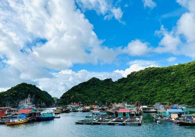 From Cat Ba: Lan Ha Bay Day Trip With Kayaking, Biking& Meal - Since You Asked