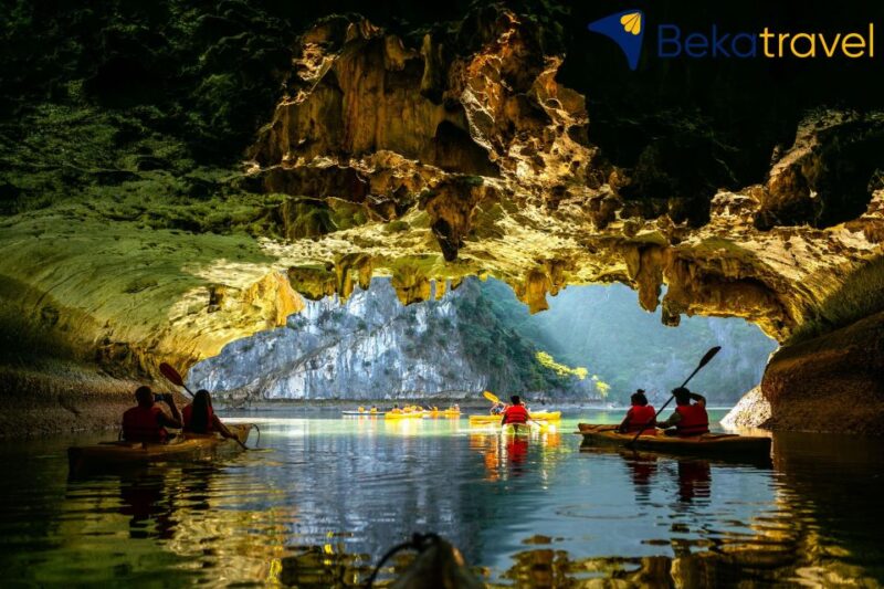 From Cat Ba or Hanoi: Lan Ha Bay Day Trip & Cooking Class - Customer Feedback and Ratings