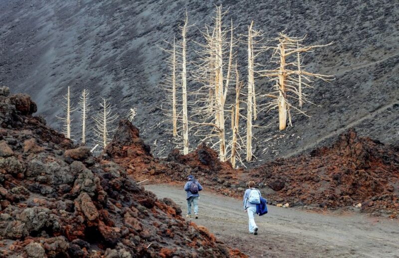From Catania: Etna Private Guided Tour - Inclusions and Equipment