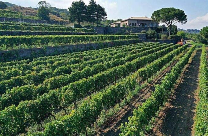 From Catania: Guided Hike on Etna, Wines and Nibbles - Booking and Cancellation Policy