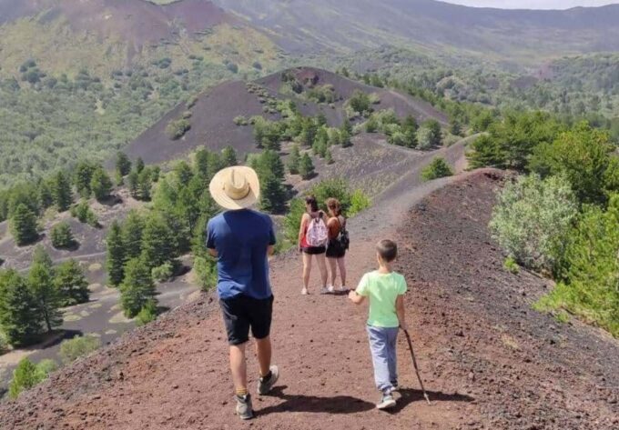 From Catania: Guided Hike on Etna, Wines and Nibbles - Frequently Asked Questions