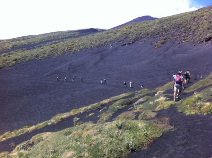 From Catania: Mount Etna Half-Day Tour and Wine Experience - Inclusions and Recommendations