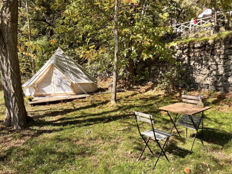 From Catania: Mt.Etna Picnic and Wine Tasting - Picnicking in Natural Pine Forests