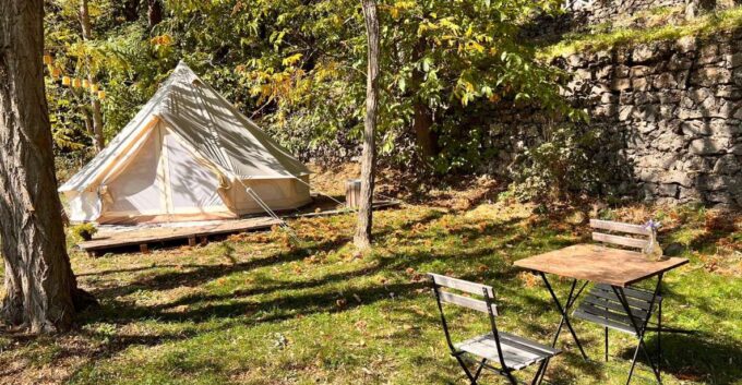 From Catania: Mt.Etna Picnic and Wine Tasting - Customer Satisfaction and Feedback