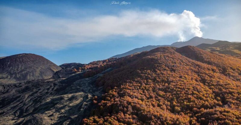 From Catania: Mt. Etna, Wine and Alcantara Tour - Inclusions