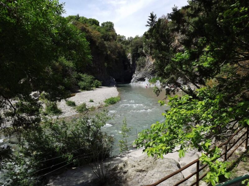 From Catania: Mt. Etna, Wine and Alcantara Tour - Customer Feedback and Ratings