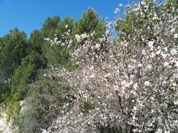 From Catania: Pantalica & Sortino Guided Tour - Booking and Cancellation