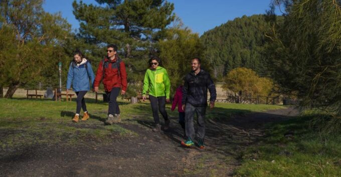 From Catania: Private Mount Etna Trek - Important Information