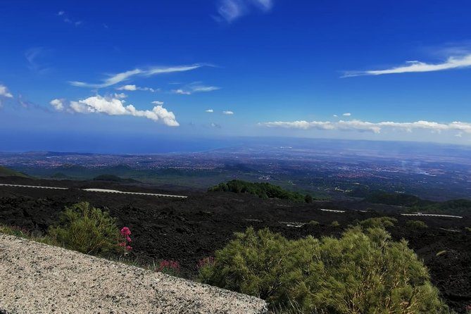From Catania: Private Mount Etna Trekking and Picnic - Ratings and Reviews