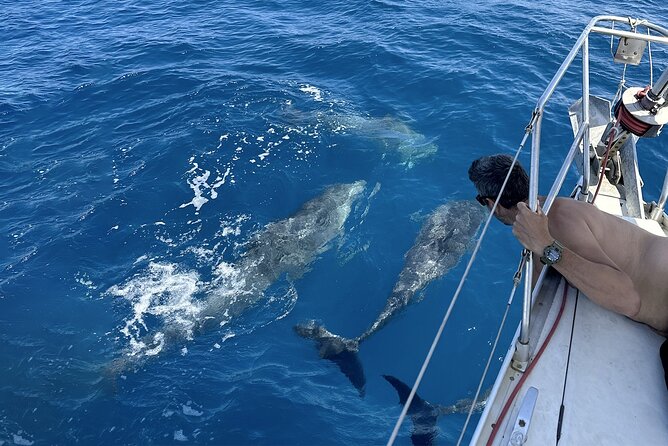 From Catania: Sailboat Tour to Aci Trezza - 4 Hours - Departure Point and Meeting Time