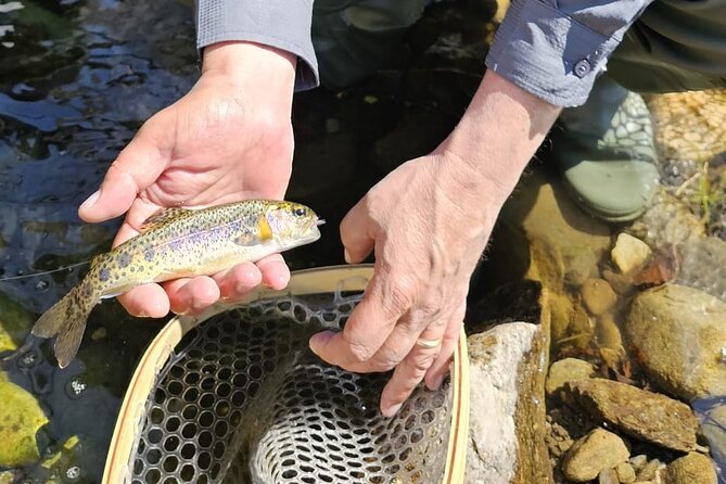From Catania, Syracuse and Taormina: Fly Fishing Experience - Booking Information