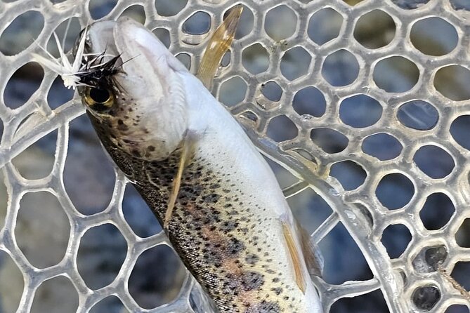 From Catania, Syracuse and Taormina: Fly Fishing Experience - Scenic Locations