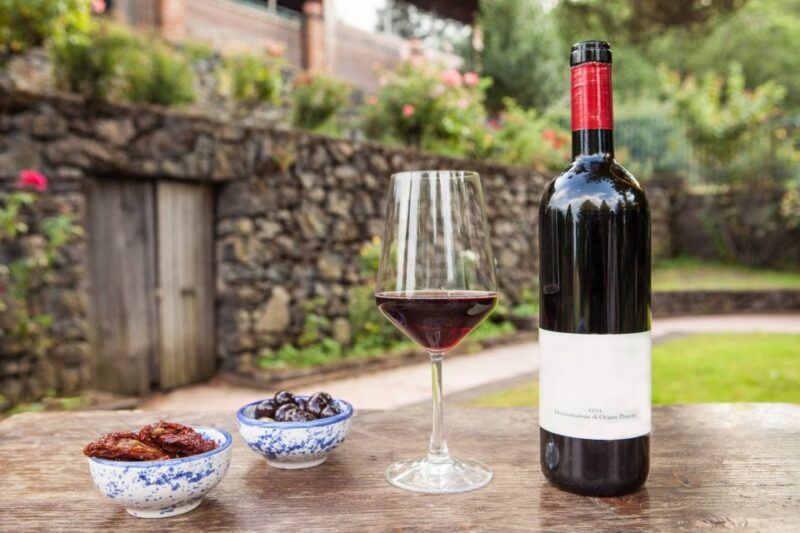 From Catania/Taormina: Mount Etna Private Wine Tasting Tour - Experience Highlights