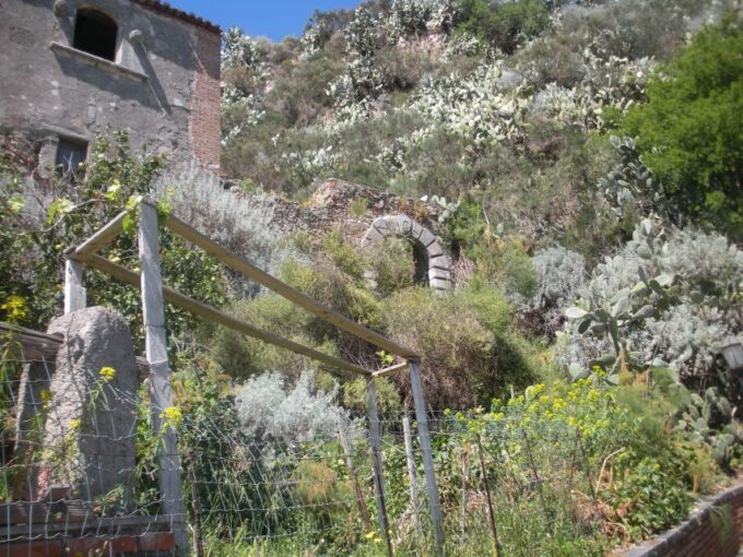 From Catania: The Godfather Movie Day Trip in Sicily - Discovering Forza Dagro