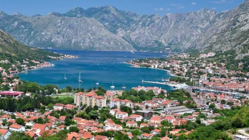 From Cavtat: Montenegro Day Tour - Experience and Activities