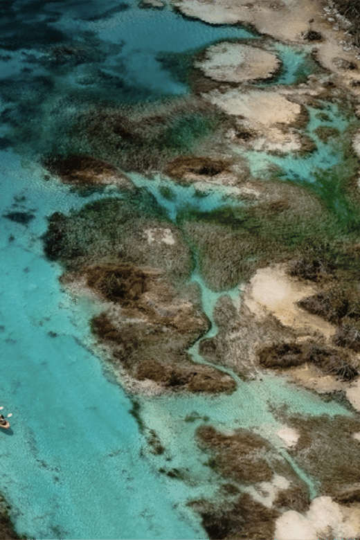 From Caye Ambergris: One Way Share Transfer to Bacalar - Travel Experience