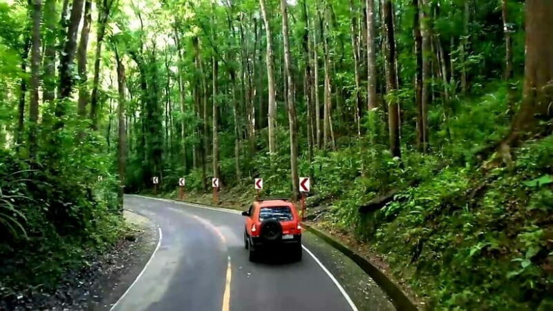 From Cebu: Bohol Countryside & Buffet Lunch Exclusive Tour - Why This Tour Offers Great Value