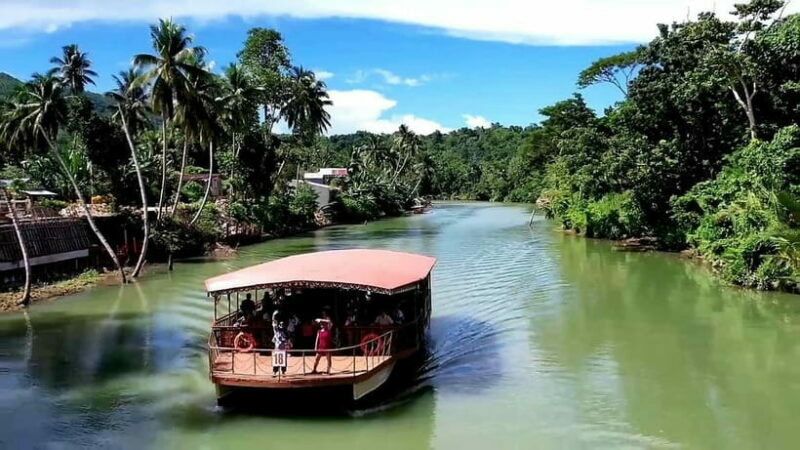From Cebu: Bohol Countryside & Buffet Lunch Exclusive Tour - Who Will Love This Tour?
