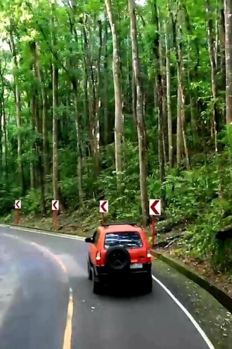 From Cebu: Bohol Countryside Exclusive Tour - Frequently Asked Questions