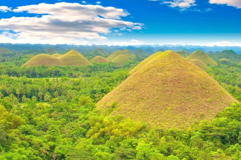 From Cebu: Bohol Countryside Private Tour With Buffet Lunch - Itinerary and Transportation