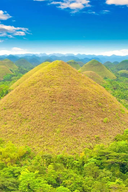 From Cebu: Bohol Countryside Private Tour With Buffet Lunch - Guided Tours and Optional Activities
