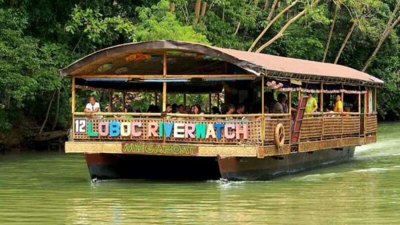 From Cebu: Bohol Countryside Private Tour with Loboc Lunch - What Travelers Say
