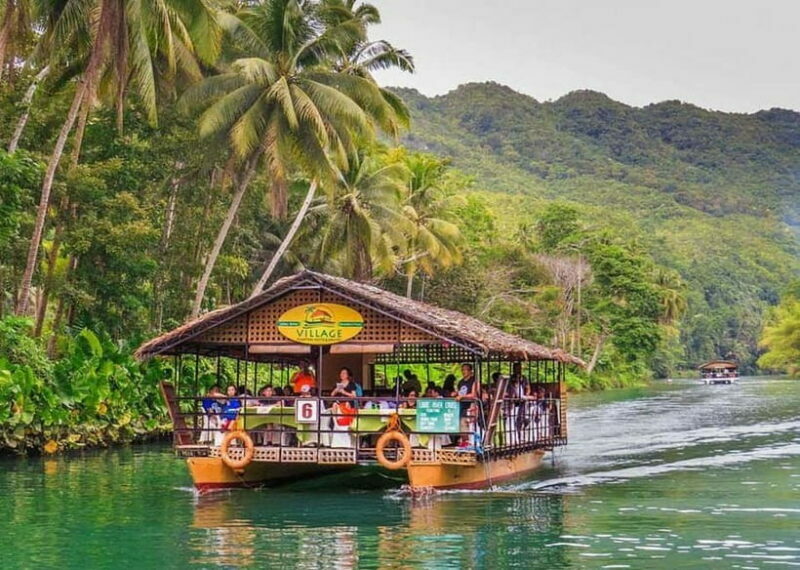 From Cebu: Bohol Countryside Tour Day Trip with Buffet Lunch - What Do Travelers Say?