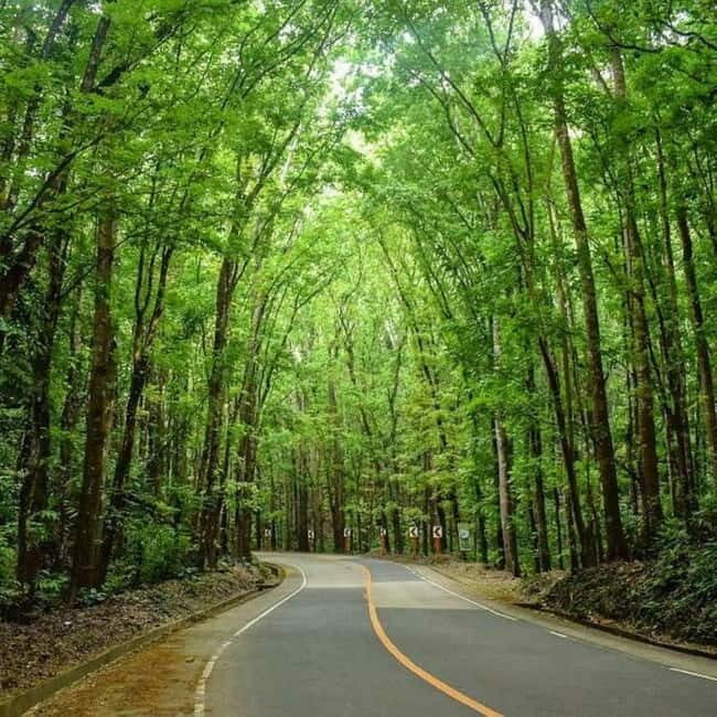 From Cebu: Bohol Countryside Tour Day Trip with Buffet Lunch - The Sum Up: Is It Worth It?