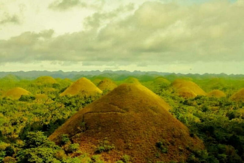 From Cebu: Bohol Countryside Tour Day Trip with Buffet Lunch - FAQ