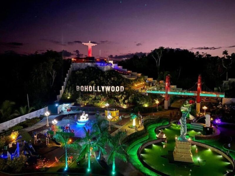 From Cebu: Bohol Countryside Tour Day Trip With Buffet Lunch - Included Services