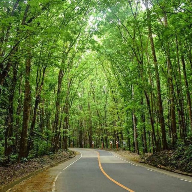 From Cebu: Bohol Countryside Tour Day Trip With Buffet Lunch - Pickup Locations