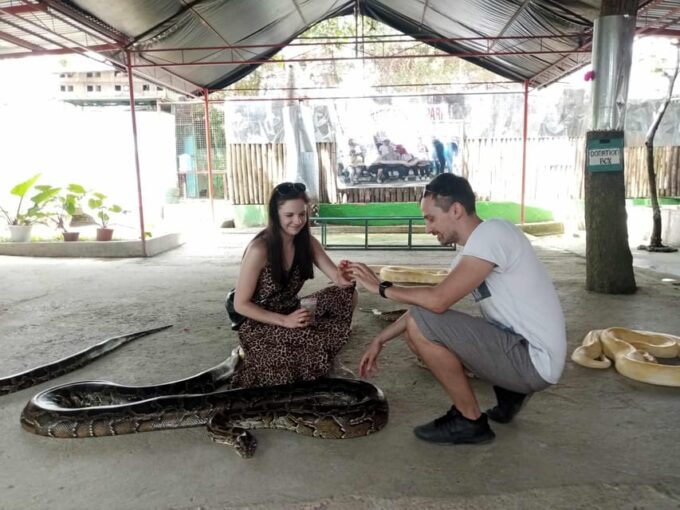 From Cebu: Bohol Countryside Tour Day Trip With Buffet Lunch - Frequently Asked Questions