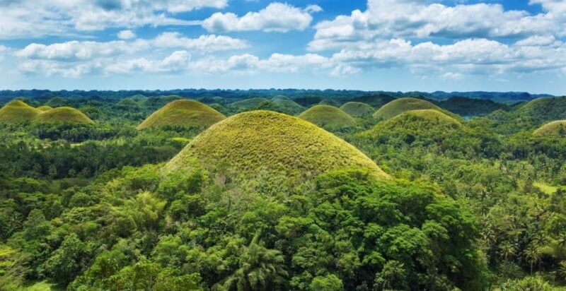 From Cebu City: Bohol Island Highlights in One Day - Cultural Experiences