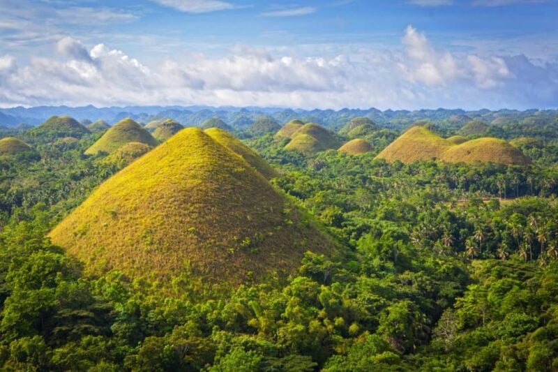 From Cebu City: Bohol Island Highlights in One Day - Dining and Cruises