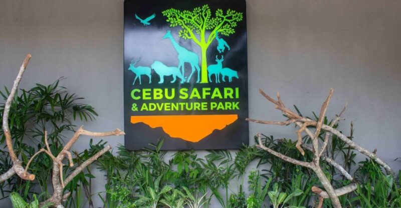 From Cebu City: Cebu Safari and Adventure Park Day Tour - Safari Features