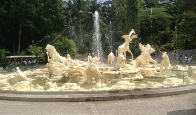 From Cebu City: Cebu Safari and Adventure Park Day Tour - Park Size and Animal Diversity