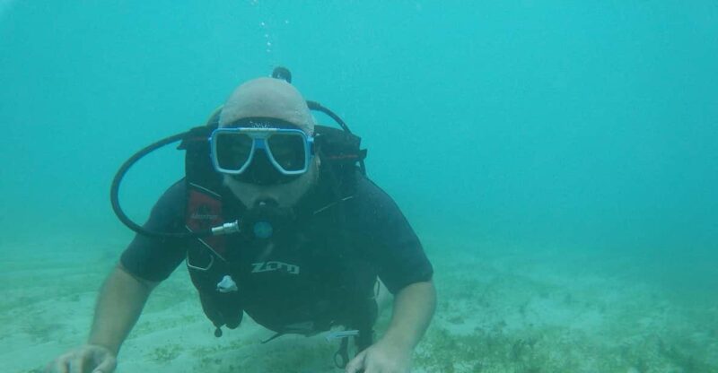 From Cebu City: Scuba Diving Adventure With Whale Sharks - Key Points