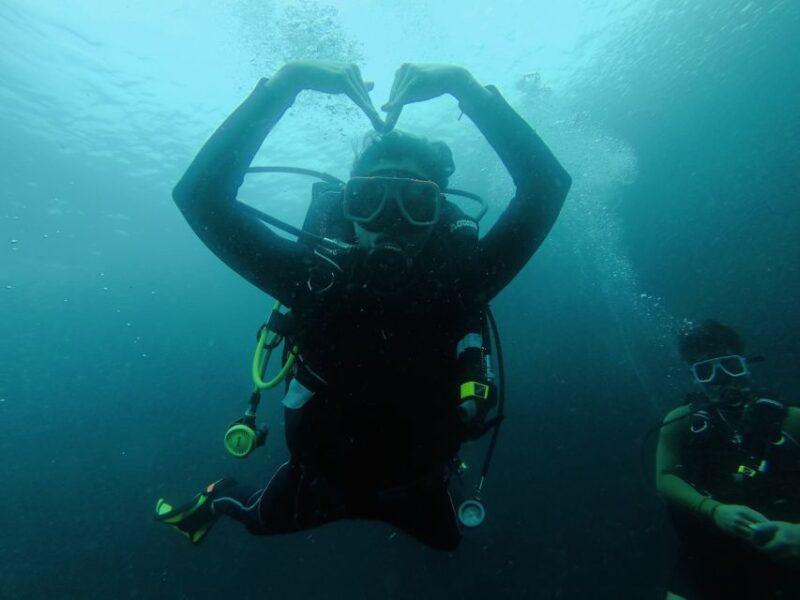From Cebu City: Scuba Diving With Whale Sharks Trip in Oslob - Key Points