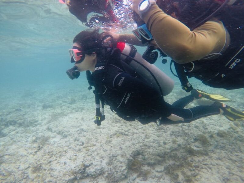 From Cebu City: Scuba Diving With Whale Sharks Trip in Oslob - Included in the Tour