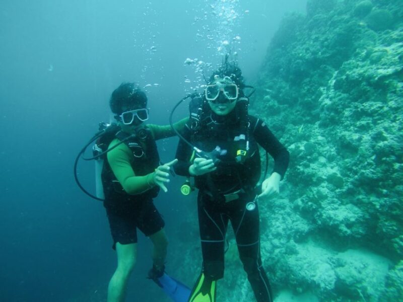 From Cebu City: Scuba Diving With Whale Sharks Trip in Oslob - Pricing and Duration