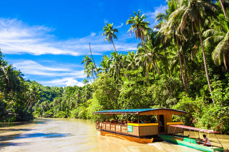 From Cebu: Day Trip to Bohol Highlights - Itinerary Highlights