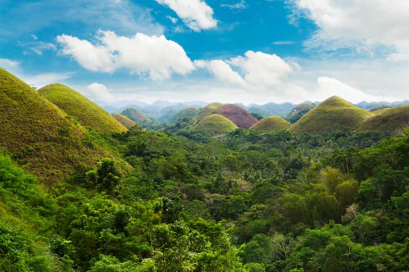 From Cebu: Day Trip to Bohol Highlights - Transportation and Pickup