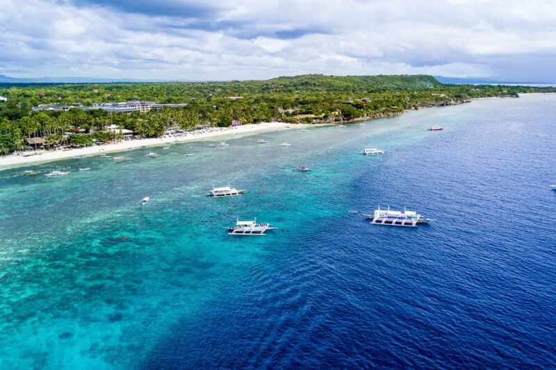From Cebu: Day Trip to Bohol Highlights - Included Services