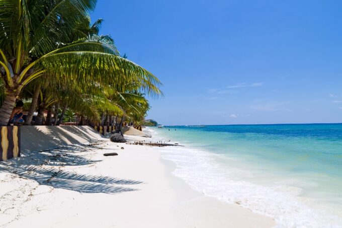 From Cebu: Day Trip to Bohol Highlights - Frequently Asked Questions