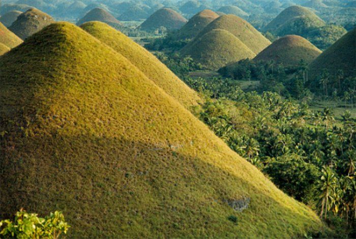 From Cebu: Full-Day Bohol Excursion - Key Points